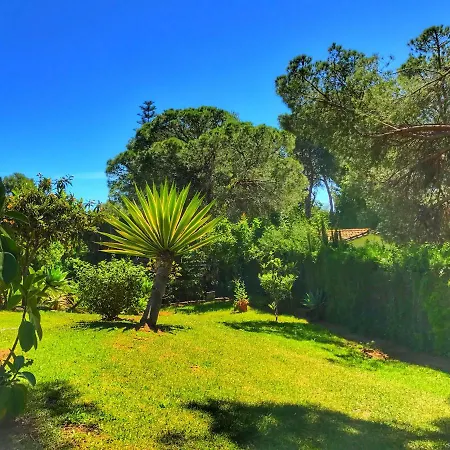 El Nácar * Marbella