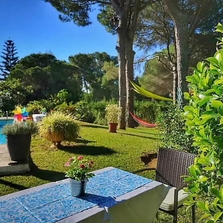 El Nacar 마르베야