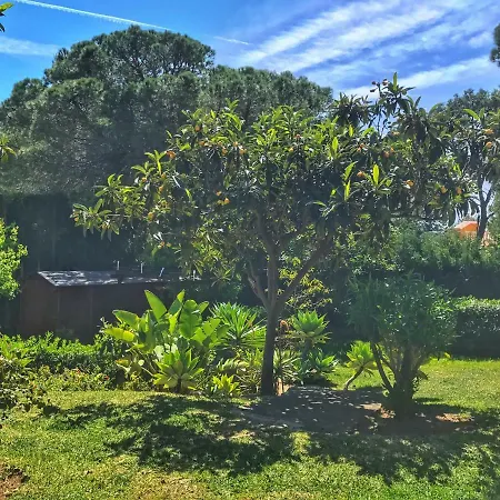 Bed and breakfast El Nacar 4*