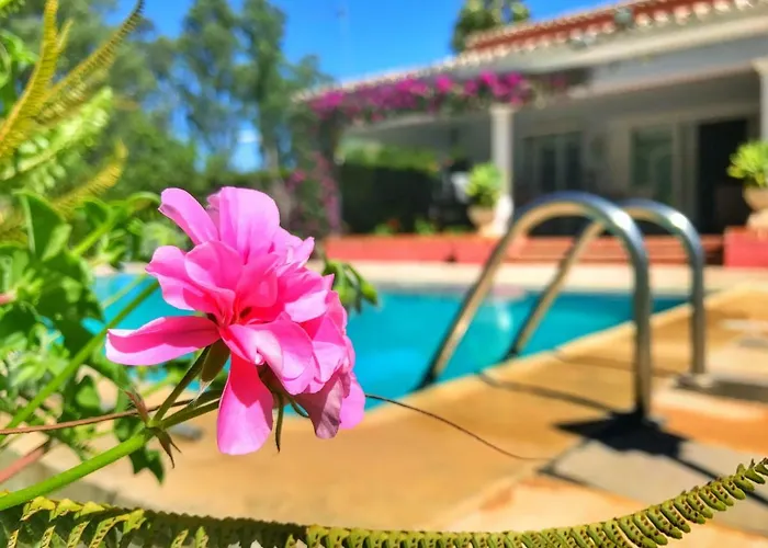 Bed and breakfast El Nacar Marbella